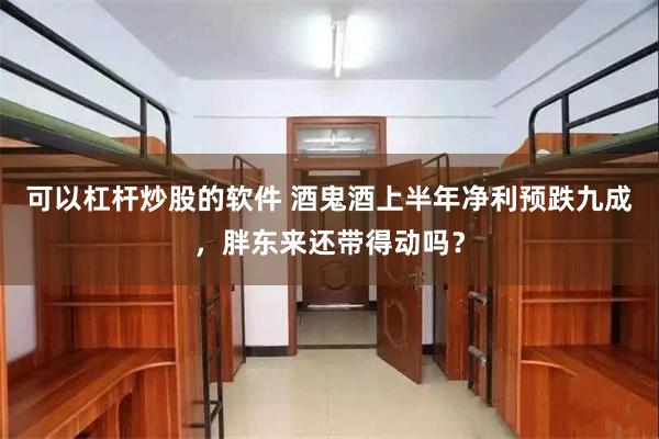 可以杠杆炒股的软件 酒鬼酒上半年净利预跌九成，胖东来还带得动吗？