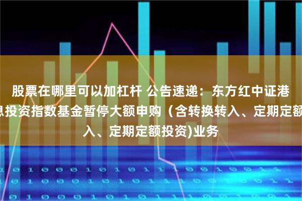 股票在哪里可以加杠杆 公告速递：东方红中证港股通高股息投资指数基金暂停大额申购（含转换转入、定期定额投资)业务