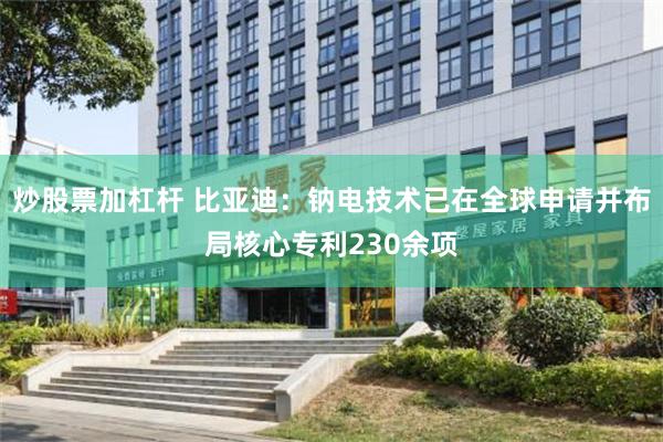 炒股票加杠杆 比亚迪：钠电技术已在全球申请并布局核心专利230余项